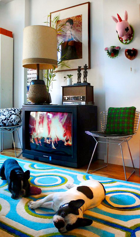 televisor con chimenea